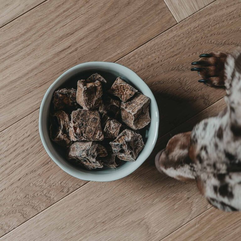 Hund riecht an Lungenwürfeln vom Hirsch von Lila Loves it