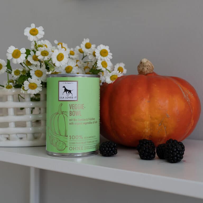 Dose Nassfutter für Hunde aus Gemüse auf einem weißen Regalbrett dekoriert mit Gänseblümchen, einem Kürbis und Brombeeren | LILA LOVES IT "Nassfutter Veggie-Bowl"