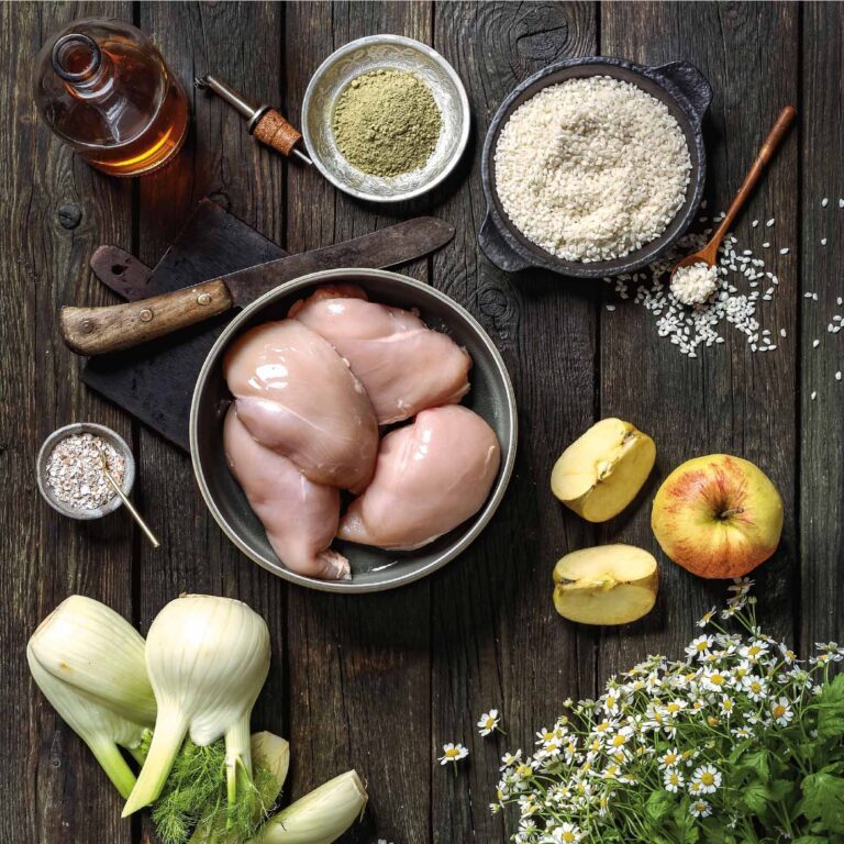 In Schalen und Flaschen ausgebreitete Zutaten für Nassfutters aus Huhn von auf einem dunkel-braunem Hintergrund aus Holz dekoriert mit Gänseblümchen