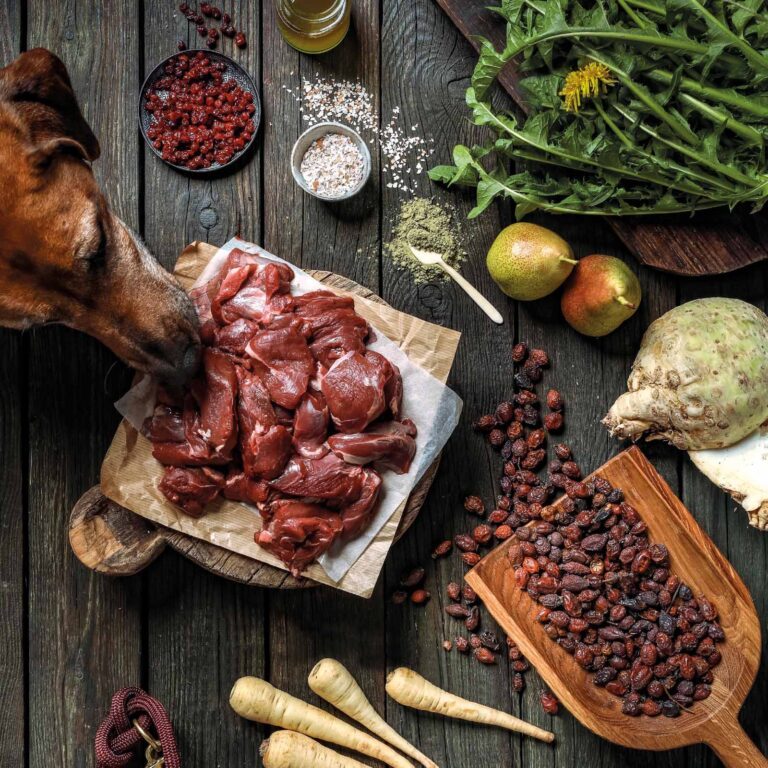 Wild Flatlay mit Inhaltsstoffe