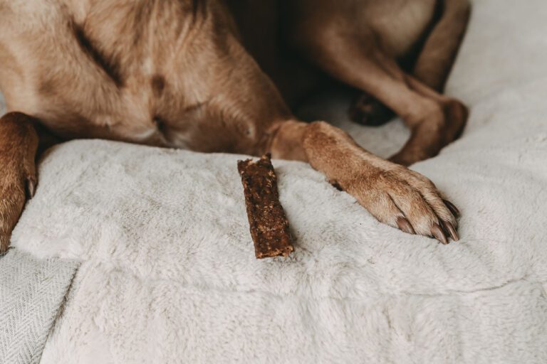 Trockenfleisch für Hunde mit Entenfleisch und Hundepfoten