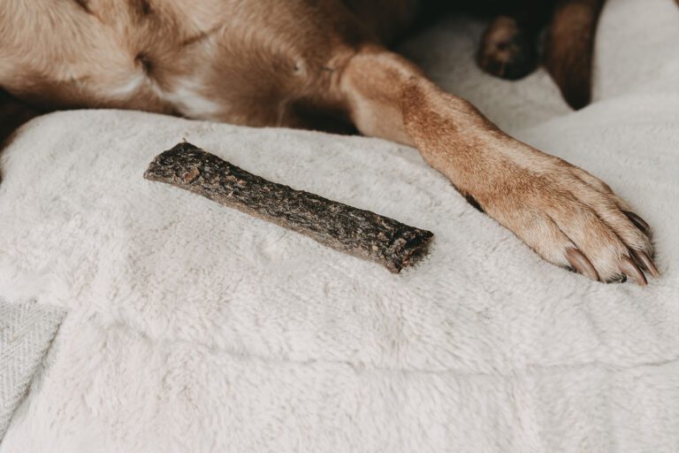 Trockenfleisch für Hunde mit Hundepfote