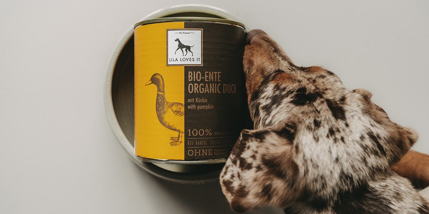 Bio-Ente Nassfutter für Hunde mit Zwergdackel