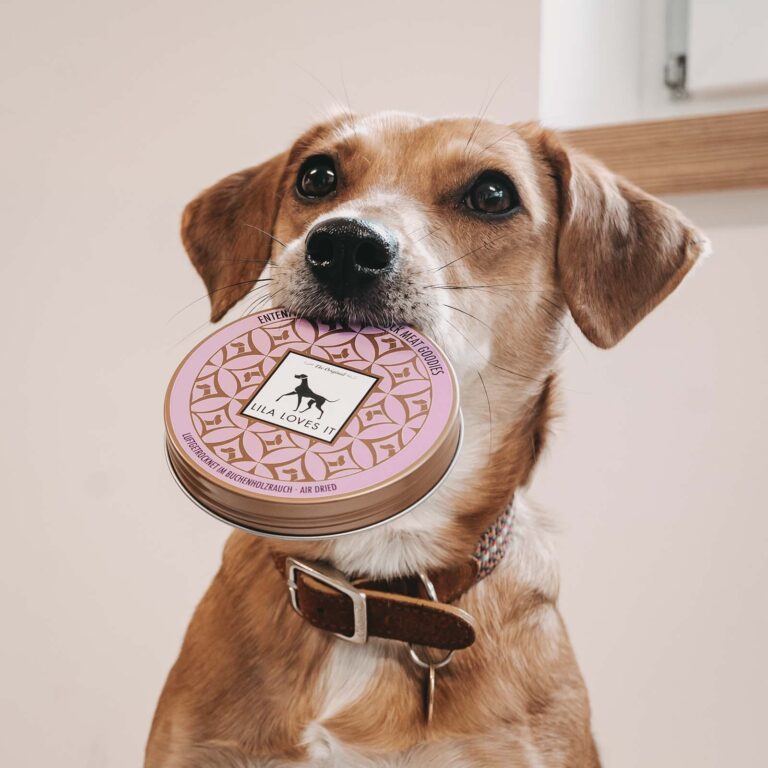 Hund hält Entenfleisch Leckerlies von Lila Loves it im Maul