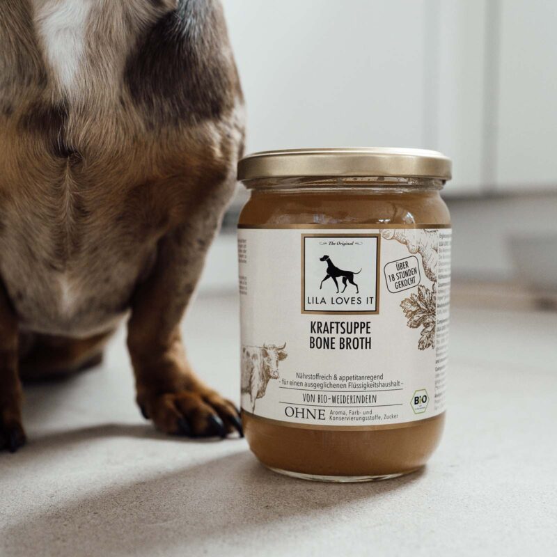 Ein geschlossenes Glas Suppe steht auf weißen Steinboden neben einem kleinen Hund | LILA LOVES IT "Kraftsuppe Bone Broth"