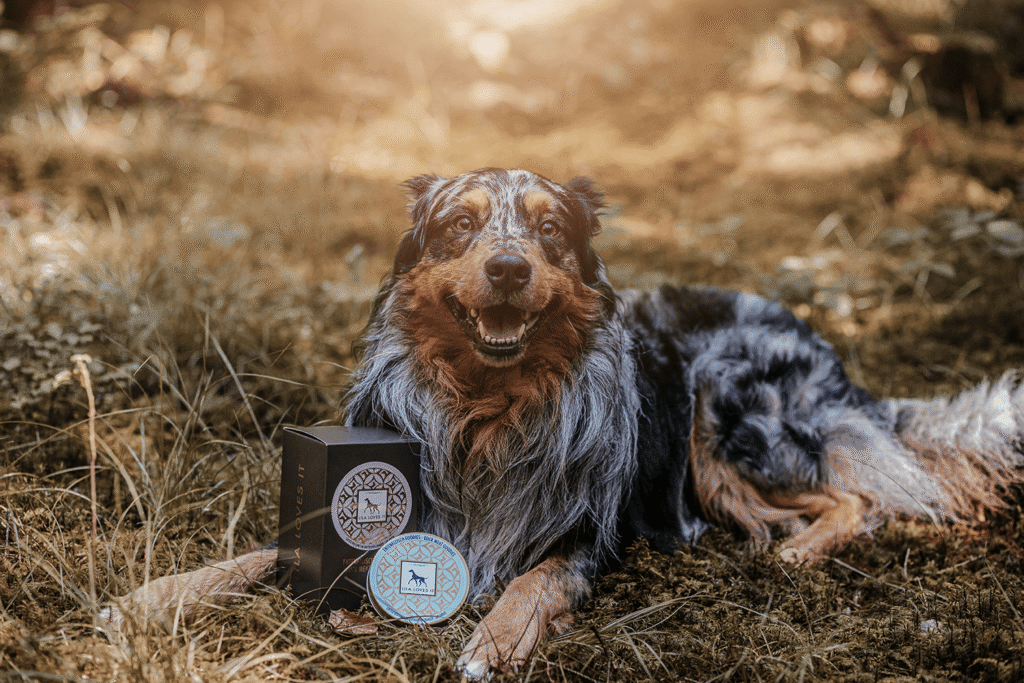 Lila Loves It Goodies für Unterwegs (Landingpage)