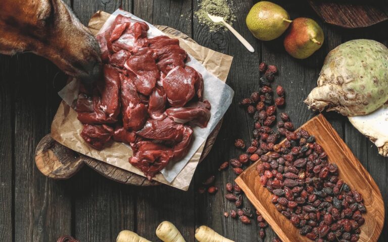 Ausgebreitete Zutaten eines Nassfutters für Hunde bestehend aus Rindfleisch und Löwenzahn auf einem Holzbrett mit Sellerie, Beeren, Birnen, Pastinaken und Gewürzen an denen ein junger Hund neugierig auf einem dunklen Holz Untergrund riecht | LILA LOVES IT "Nassfutter für Hunde aus Rindfleisch"