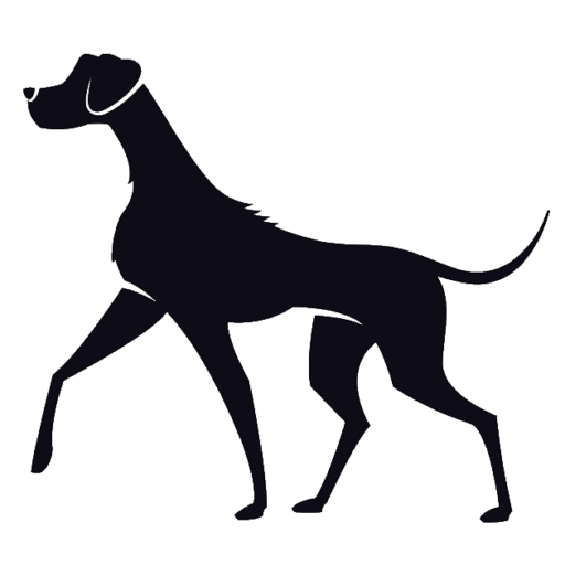 Schwarze Silhouette einer großen aber eleganten Hündin Namens Lila