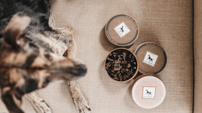 Vier Dosen Hunde Leckerli neben einem Hund teilweise geöffnet auf braunem Leinenstoff