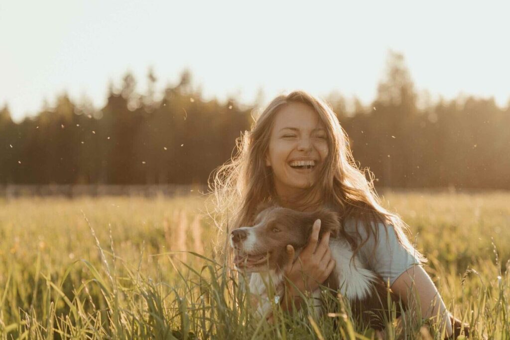 Hund spielt auf einer Wiese mit einer jungen Frau auf einer sonnigen Wiese