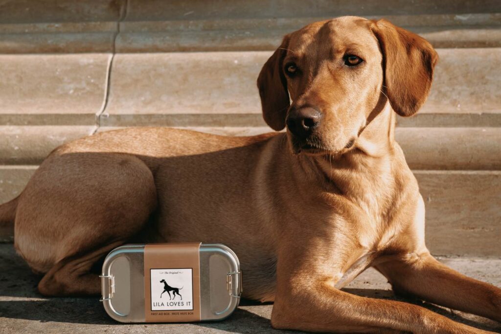 Großer beiger Hund und Erste Hilfe Set für Hunde von LILA LOVES IT "First-Aid-Kit"