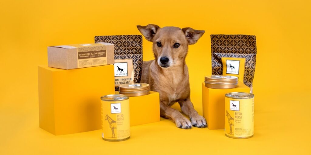 Hund liegt vor einem gelben Hintergrund. Um ihn herum sind alle Lila loves it Reinfleisch Pferd-Artikel aufgestellt: Nassfutter, Goodies, Pferdesehnen und Trockenfleisch Pferd