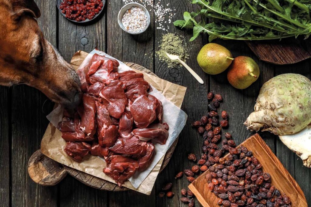 Lila loves it Nassfutter Inhaltsstoffe: Wildfleisch an dem ein Hund schleckt, rosinen, Selleriem Birne, Pulver und Haferflocken