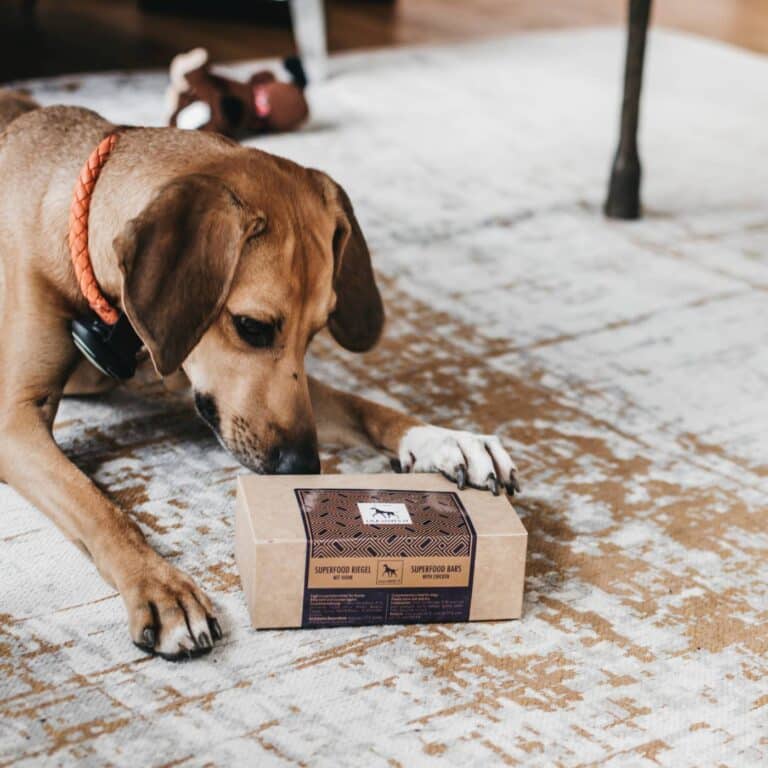Hund schnuppert an der Packung Lila loves it Superfood Riegel