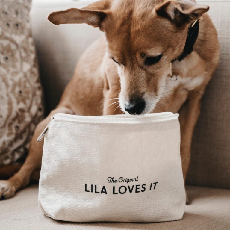Hund schnuppert am Lila Loves it Beauty Bag.