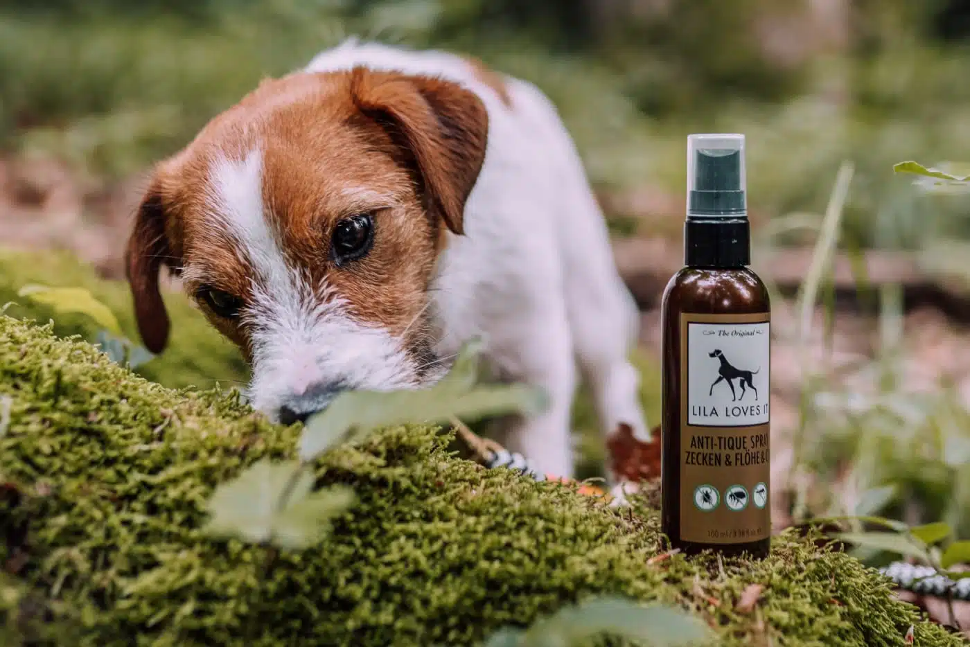 Zeckensaison: Anti Tique Spray für Hunde