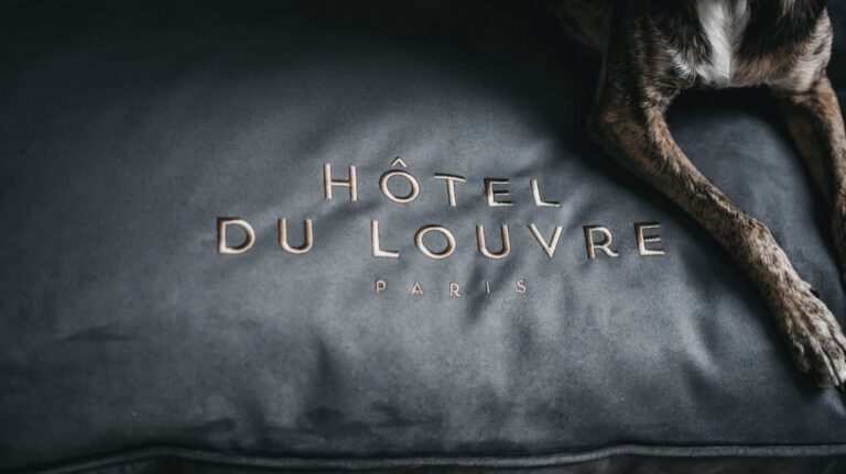 Ausschnitt eines Hundes auf dem Lila loves it Hundekissen personalisiert bestickt für Hôtel du Louvre.