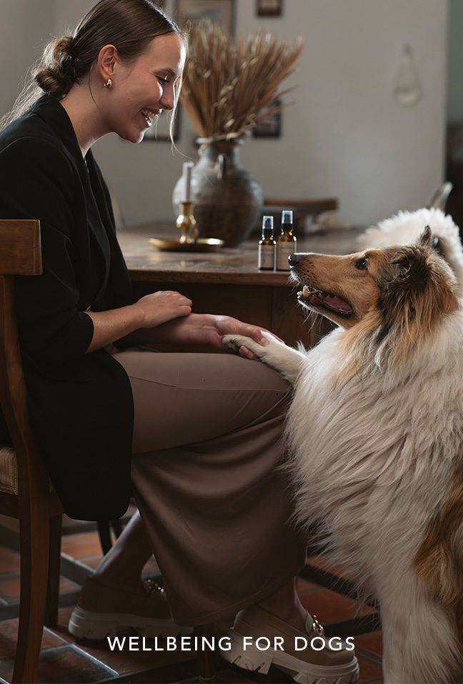 fndr-lli-slider-hundegesundheit-EN