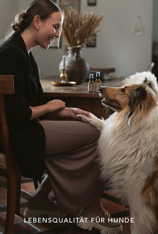 fndr-lli-slider-hundegesundheit-schrift