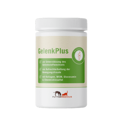 Gelenk Plus