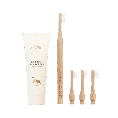 Toothbrush Set