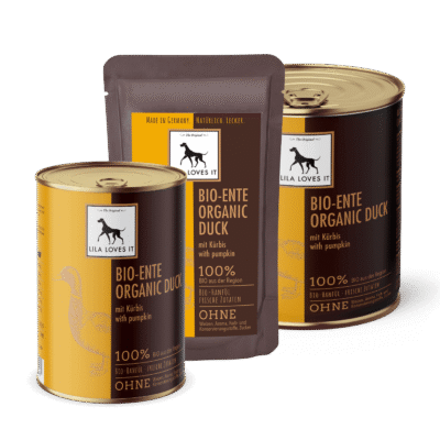 Bio-Ente mit Kürbis