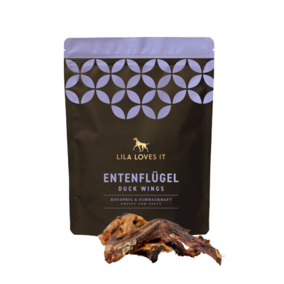 Entenflügel
