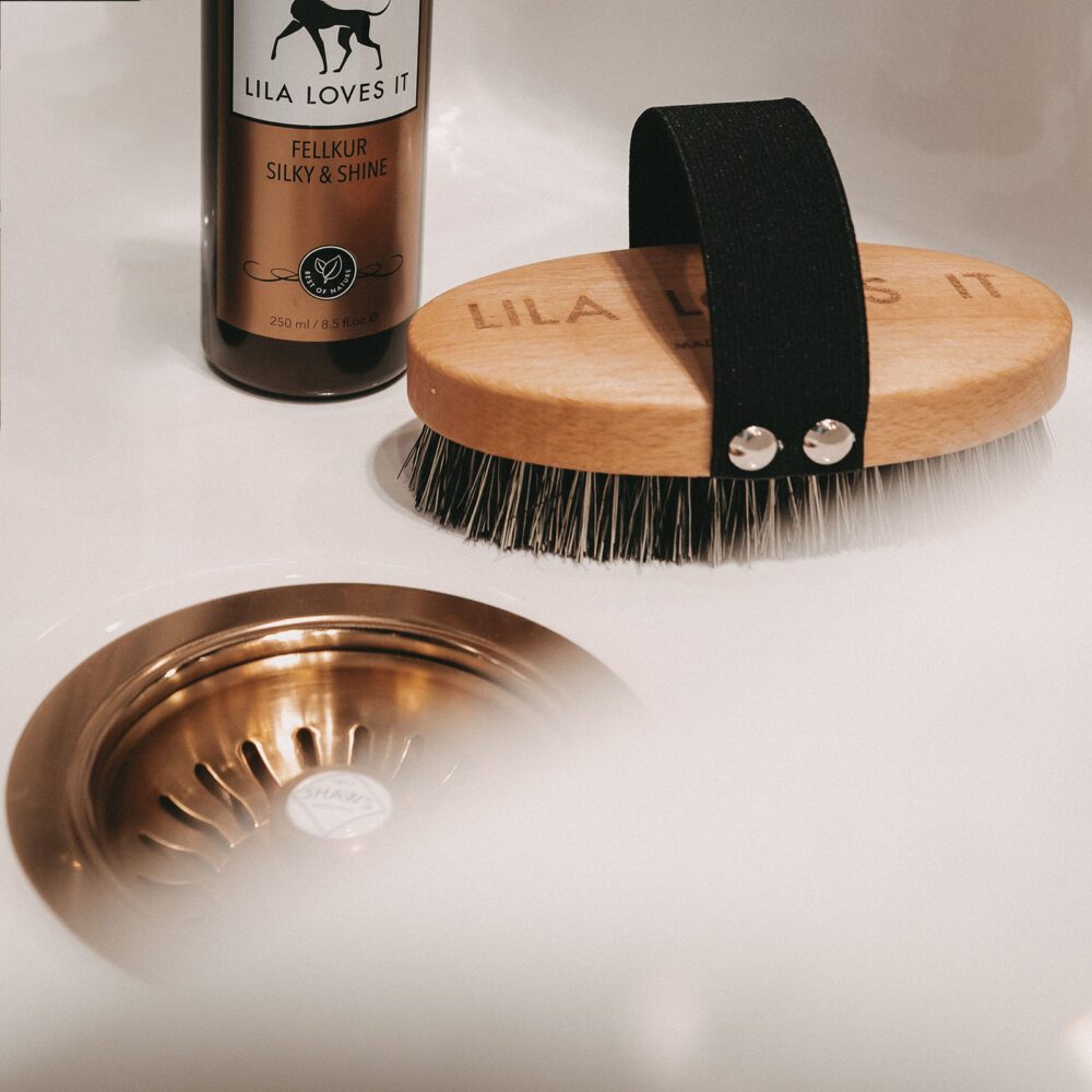 Holzbürste mit veganen Borsten für kurze Haare und Hunde-Shampoo Flasche auf Keramikoberfläche
