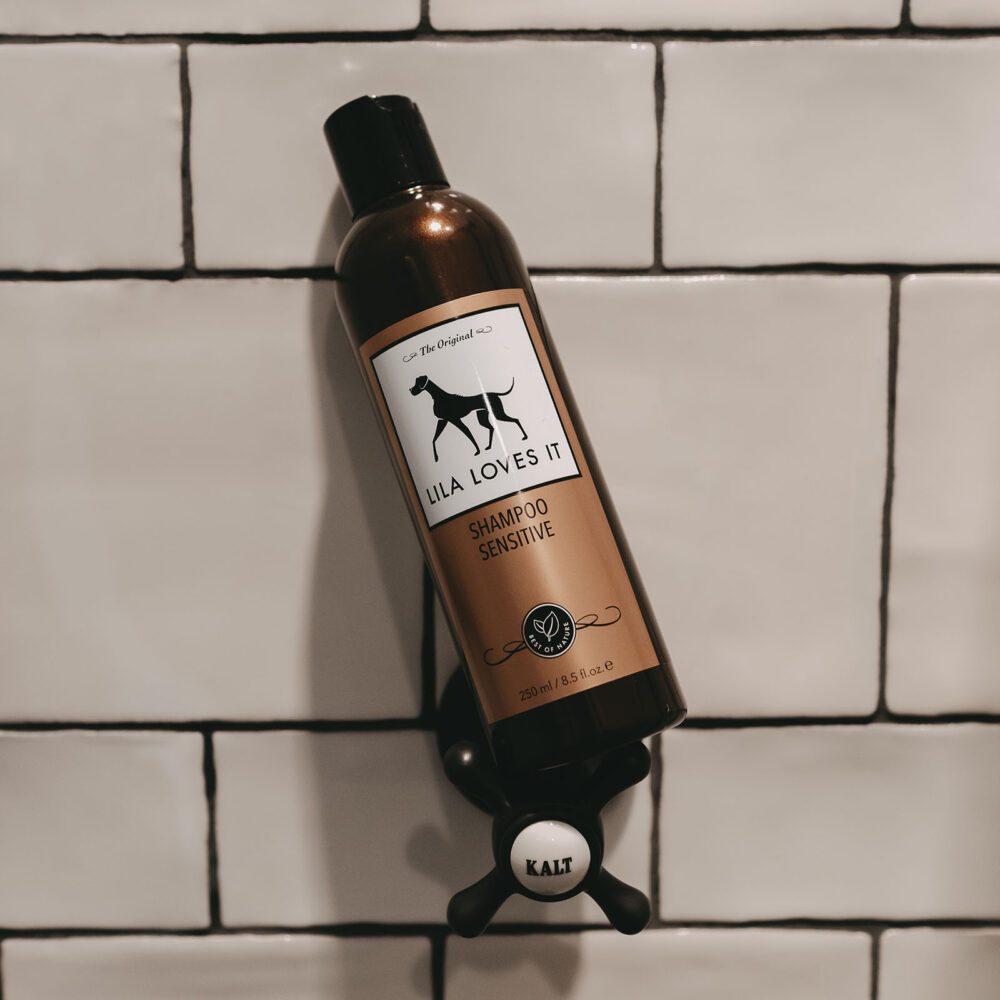 Braune Shampoo Flasche für Hunde vor einem weißen Fliesenspiegel