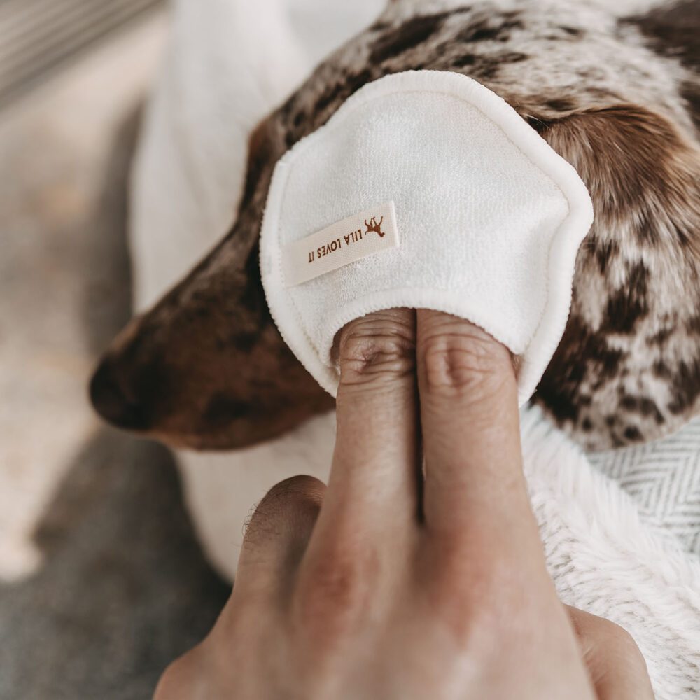 Augenpflege beim Hund mit Cleanies von Lila Loves it