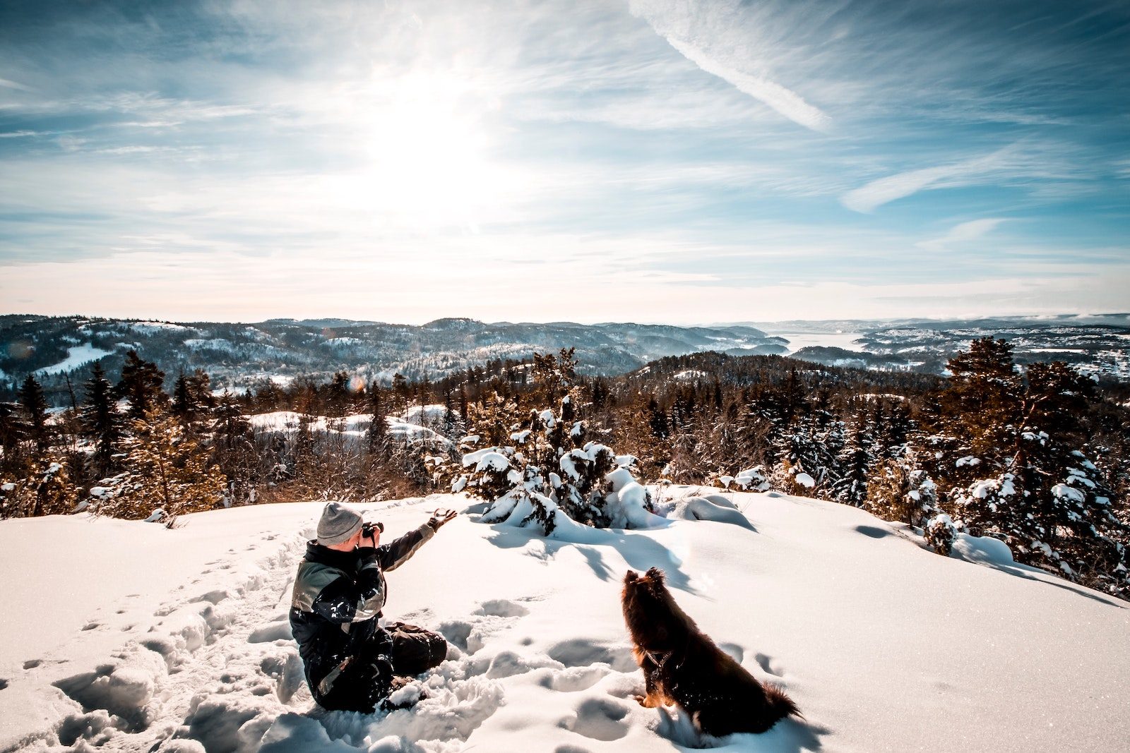Mann macht Foto von einer weitläufigen Winterlandschaft aus Nadelbäumen während er neben einem Hund in der Sonne im Schnee sitzt