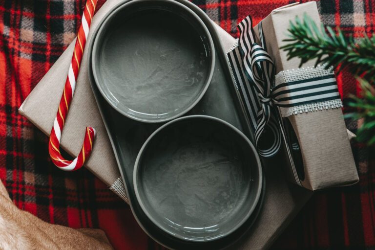 Zwei graue Hundenäpfe auf einem Tablett aus Porzellan mit Weihnachtsdeko und Geschenken unterm Weihnachtsbaum auf einer rot-kariertenDecke | Patsy Design "Porzellan Napf Set M"